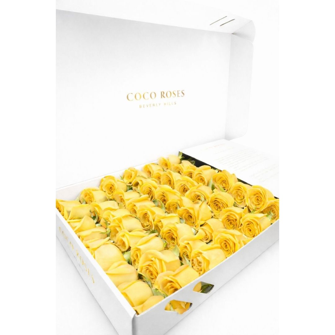 The Classic Blanc (White Box – Yellow Roses)