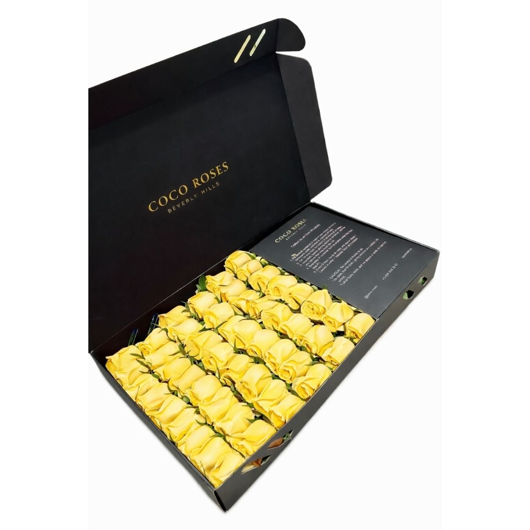 The Midnight Noir (Black Box – Yellow Roses)