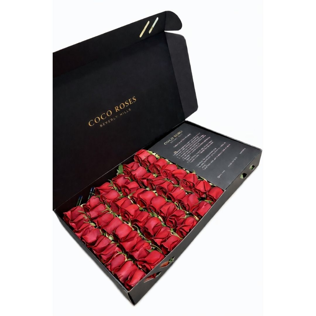 The Midnight Noir (Black Box – Red Roses)