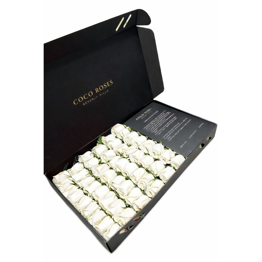 The Midnight Noir (Black Box – White Roses)