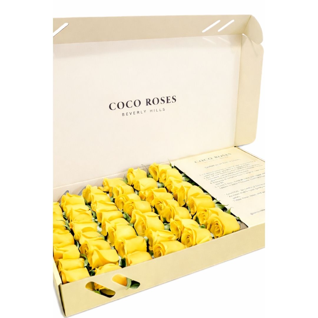 The Beverly Hills (Beige Box – Yellow Roses)