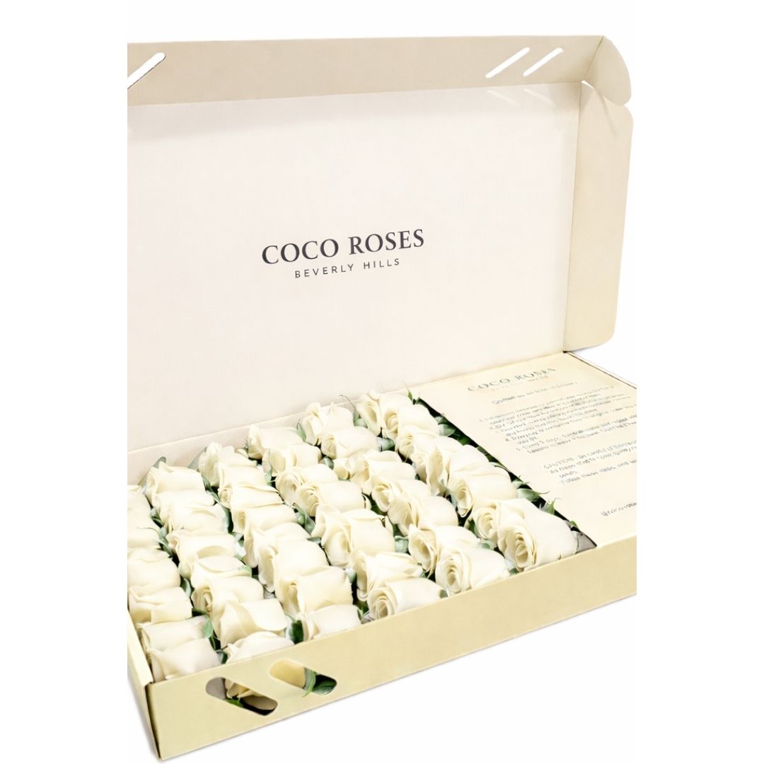 The Beverly Hills (Beige Box – White Roses)