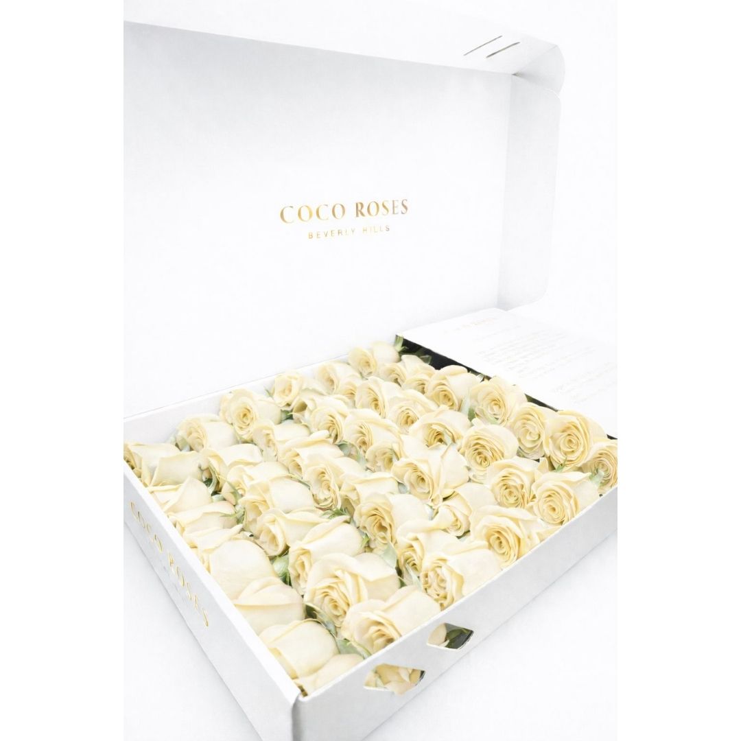 The Classic Blanc (White Box – White Roses)